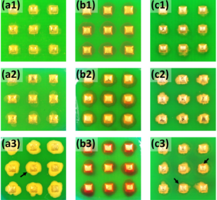 搞濕度下放置14天後的焊點